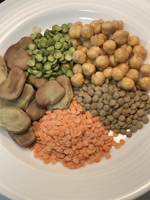 عدس أسود