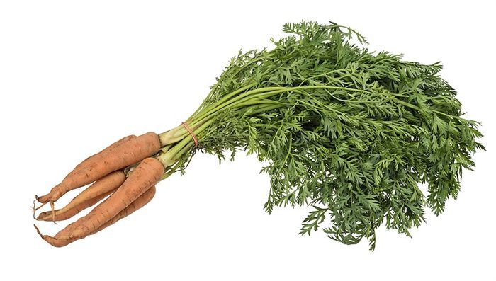 جزر