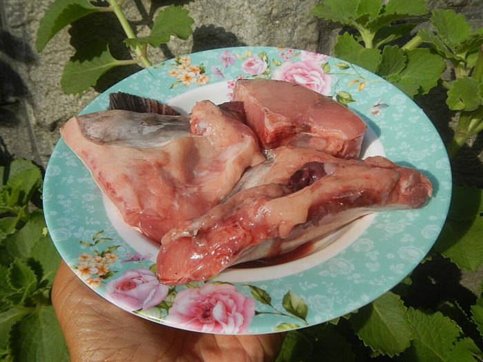 سمك شرحات